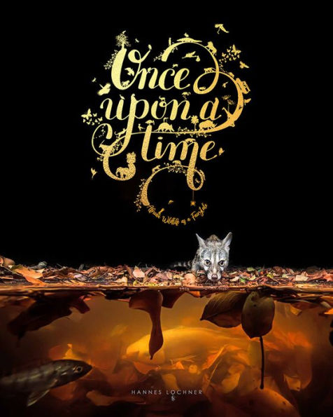 Once Upon a Time: An Intimate insight through storytelling and wildlife photography.