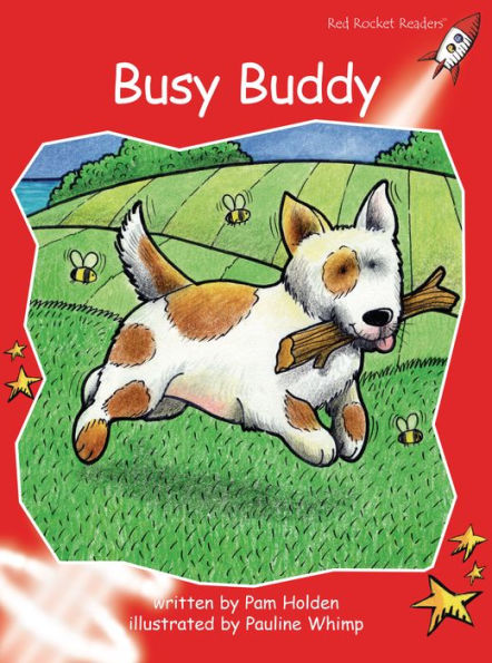 Busy Buddy