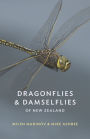 Dragonflies and Damselflies of New Zealand