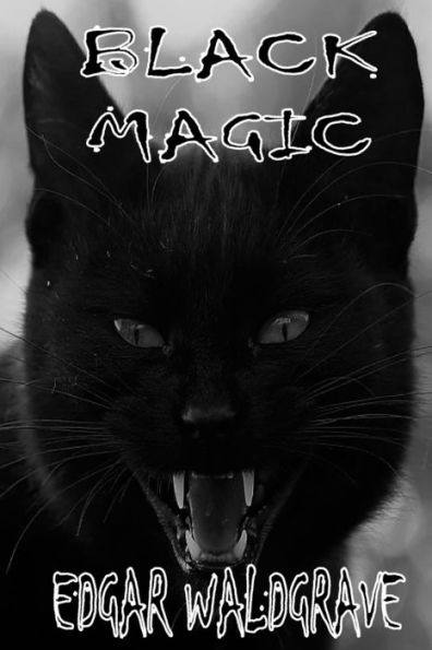 Black Magic - The Witch Chronicles Rise Of Dark High King Book Two