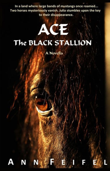 Ace, The Black Stallion