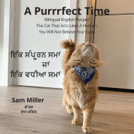 Title: ਇੱਕ ਸੰਪੂਰਨ ਸਮਾਂ ਜਾਂ ਇੱਕ ਵਧੀਆ ਸਮਾਂ - A Purrrfect Time, Author: Sam Miller