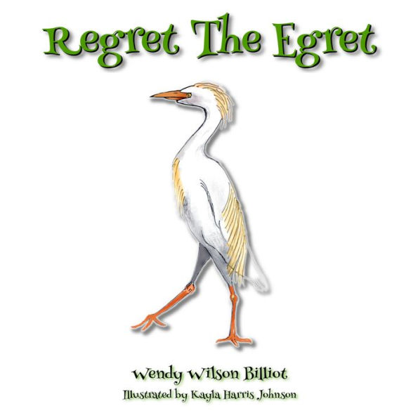 Regret the Egret