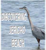Title: Discovering Jericho Beach, Author: Rowena Kong