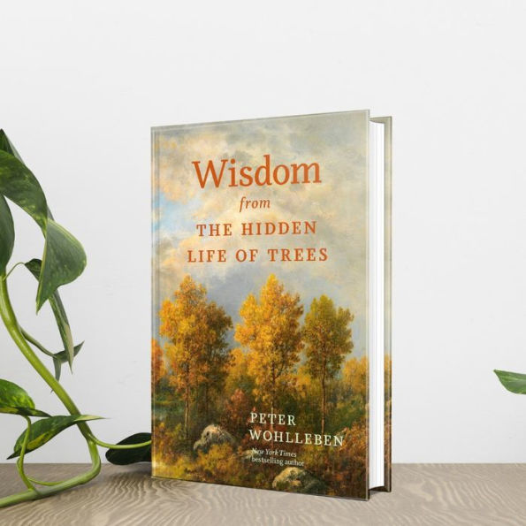 Wisdom From The Hidden Life of Trees