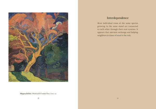 Wisdom From The Hidden Life of Trees