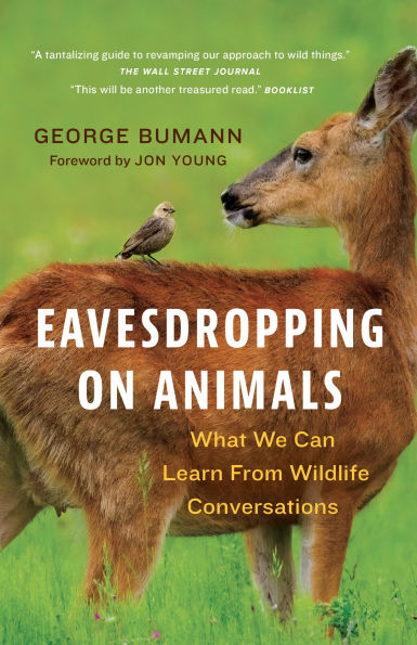 Eavesdropping on Animals: What We Can Learn From Wildlife Conversations