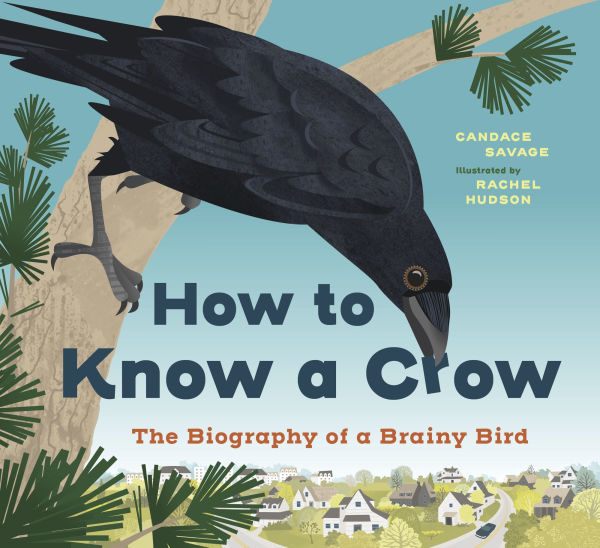 How to Know a Crow: The Biography of Brainy Bird