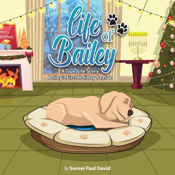 Life of Bailey: BAILEY'S FIRST HOLIDAY SEASON