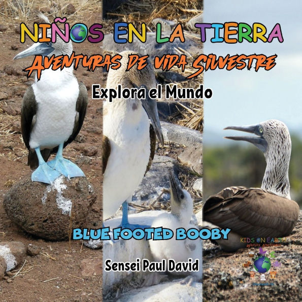 Niños en la Tierra - Aventuras de vida Silvestre - Explora el Mundo Blue Footed Booby - Ecuador