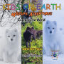 KIDS ON EARTH - Arctic Fox - Iceland