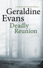 Deadly Reunion (Rafferty and Llewellyn Series #14)