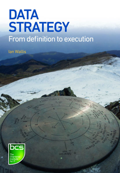 Data Strategy: From Definition to Execution