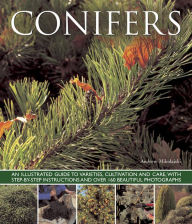 Title: Conifers: An Illustrated Guide to Varieties, Cultivation and Care, with Step-by-Step Instructions and Over 160 Beautiful Photographs, Author: Andrew Mikolajski