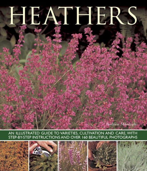 Heathers: An Illustrated Guide to Varieties, Cultivation and Care, With Wtep-By-Step Instructions and Over 160 Beautiful Photographs