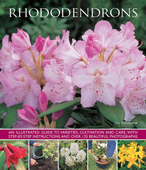 Rhododendrons: An illustrated guide to varieties, cultivation and care, with step-by-step instructions and over 135 beautiful photographs