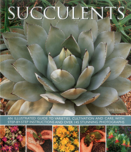 Succulents: An illustrated guide to varieties, cultivation and care, with step-by-step instructions and over 145 stunning photographs