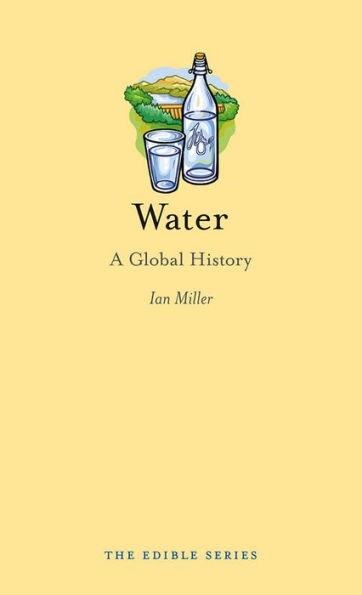 Water: A Global History