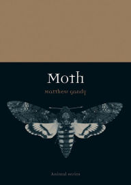 Title: Moth, Author: Matthew Gandy