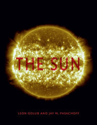 Title: The Sun, Author: Leon Golub