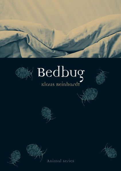 Bedbug