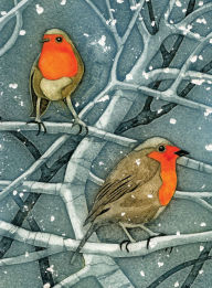 Title: Wild Birds Pocket Notebook: Robin, Author: Sarah Ross-Thompson