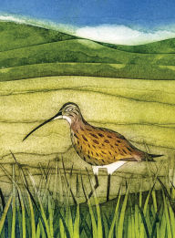 Title: Wild Birds Pocket Notebook: Curlew, Author: Sarah Ross-Thompson