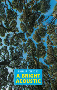 Title: A Bright Acoustic, Author: Philip Gross