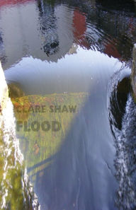 Title: Flood, Author: Clare Shaw