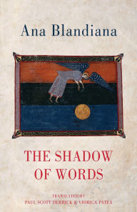 Download books as pdf from google books The Shadow of Words