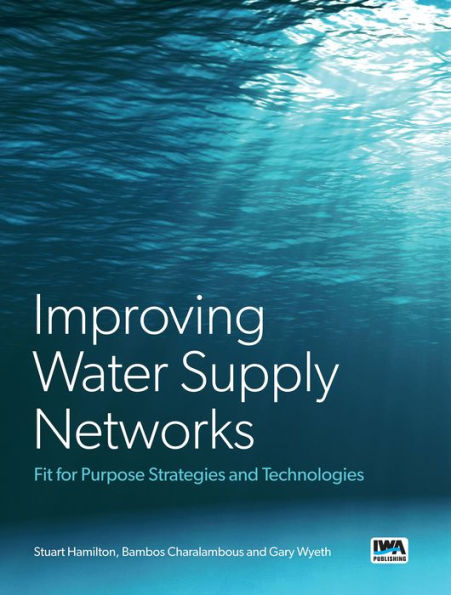 Improving Water Supply Networks: Fit for Purpose Strategies and Technologies