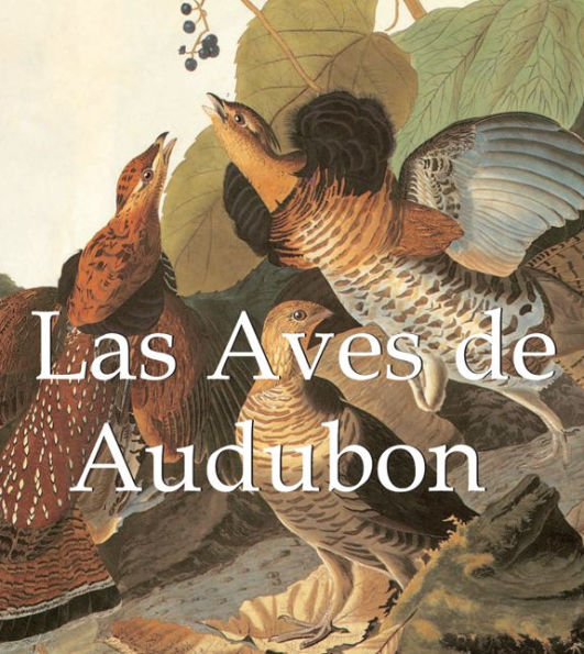 Las Aves de Audubon