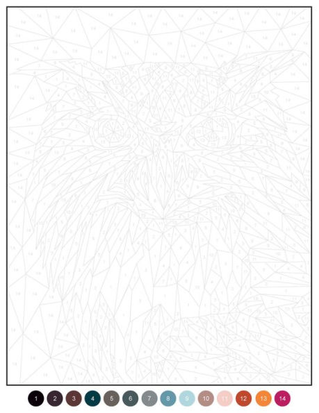Colourmetrics: A Geometric Colour by Numbers Challenge