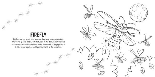 Colour Me: Mini Beasts