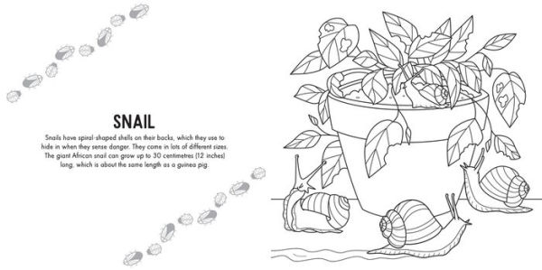 Colour Me: Mini Beasts