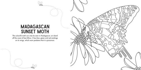 Colour Me: Mini Beasts