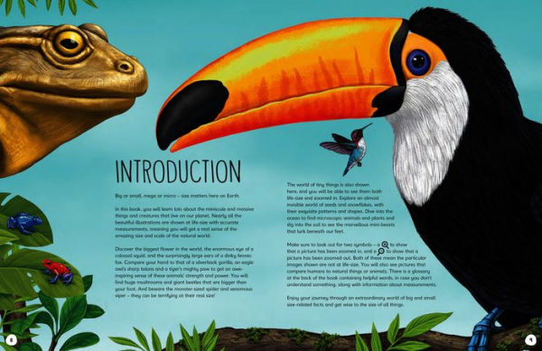 Size Wise: From Colossal Squids to Snowflakes, a Life-Sized Look at Nature