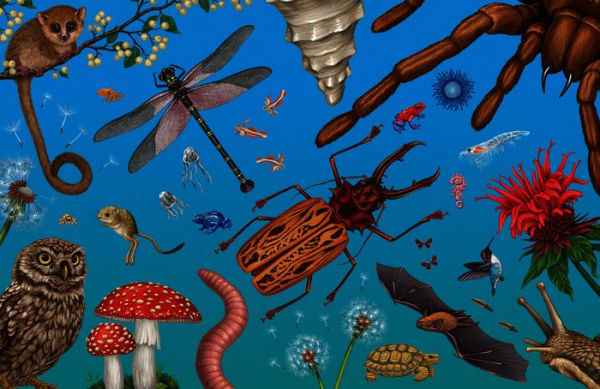 Size Wise: From Colossal Squids to Snowflakes, a Life-Sized Look at Nature