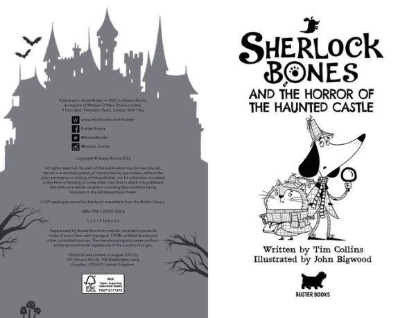 Sherlock Bones and the Horror of the Haunted Castle: A Puzzle Adventure