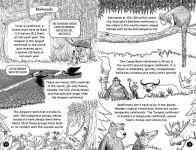 Alternative view 6 of Awesome Facts for Curious Kids: 8 Year Olds