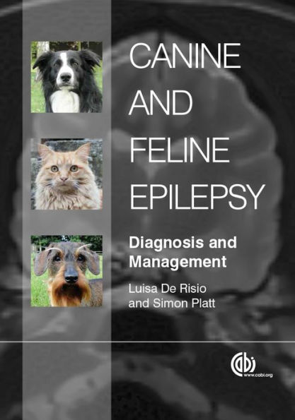 Canine and Feline Epilepsy: Diagnosis Management