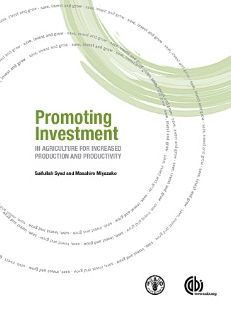 Promoting Investment Agriculture for Increased Production and Productivity