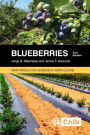 Blueberries