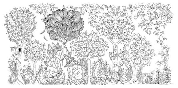 Enchanted Forest: An Inky Quest and Coloring Book for Adults