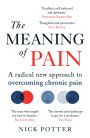 The Meaning of Pain: A radical new approach to overcoming chronic pain