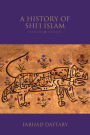 A History of Shi'i Islam