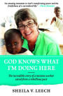 God Knows What I'm Doing Here Ebook