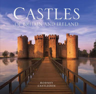Title: The Castles of Britain and Ireland, Author: Rodney Castleden