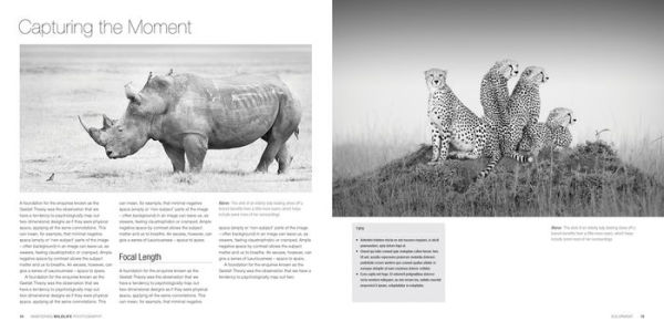 Mastering Wildlife Photography