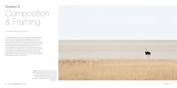 Mastering Wildlife Photography